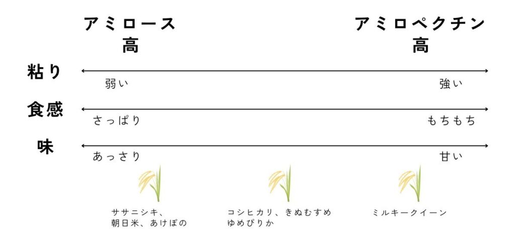 アミロースとアミロペクチンの含有量による粘り・食感・味の傾向と、主な品種の位置づけを示した図
