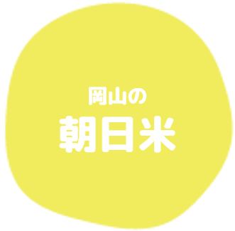 岡山の朝日米