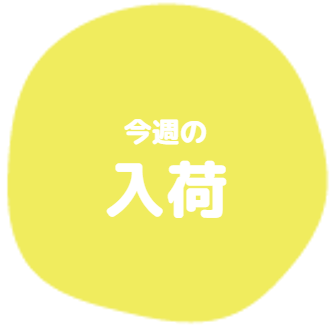 今週の入荷